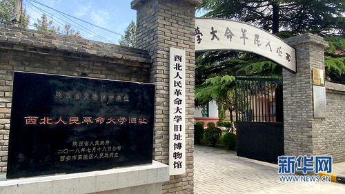 母亲节，一个全球性的庆祝与爱的传承