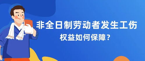 探索重庆劳动保障网，劳动者权益的守护者