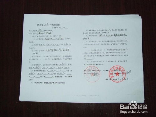 如何撰写一份专业且有效的单位证明
