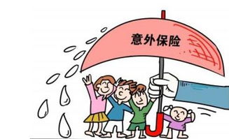 深入了解公休假国家规定，权利与义务的平衡
