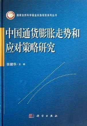 深入解析，中国债务危机的真相与应对策略