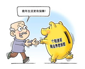深入了解劳动局养老保险，保障您的未来