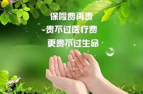大病救助，当不幸降临时的希望之光