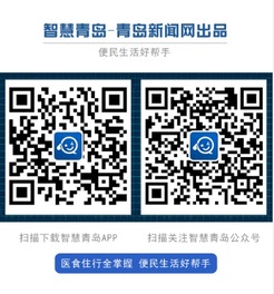 智能守护者，上海电子警察违章查询的便捷与智慧