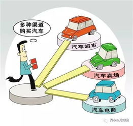 深入了解超生罚款标准，政策、影响与应对策略