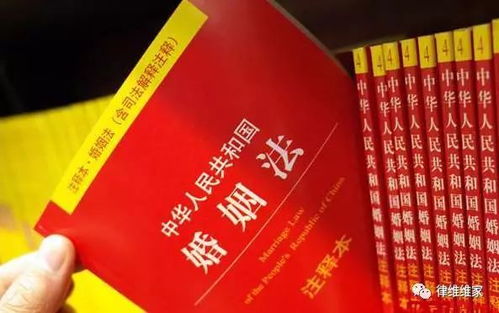 离婚律师全集，法律与情感的交织