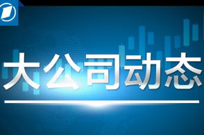外汇管理条例，全球经济中的金融桥梁与监管之盾
