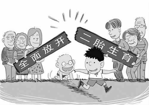 广东单独二胎政策，家庭结构的转变与社会影响