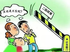 广东单独二胎政策，家庭结构的转变与社会影响