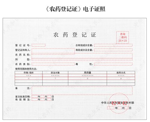 深度解析，反担保方式的法律效力与实践应用