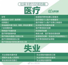 全面了解人身保险，种类、功能与选择指南