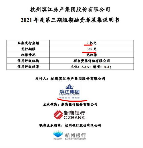 深入了解短期融资券管理办法，企业资金流动的新策略