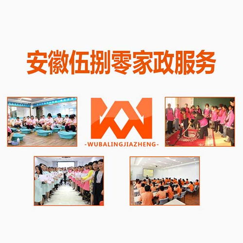 开启家政服务事业，从零到一的创业指南