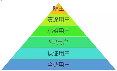 深入解析，营业外收入的构成及其重要性