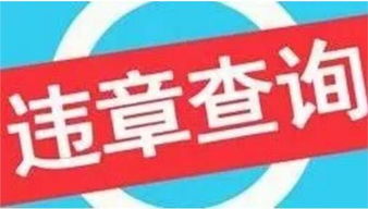 金华市违章，生活小插曲与大智慧