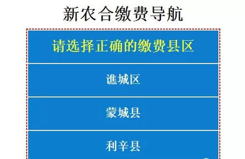 2021年新农合缴费标准，全面解读与实用指南