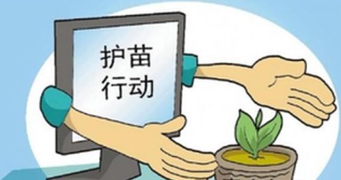 2020年，扫黄行动的持续与社会影响