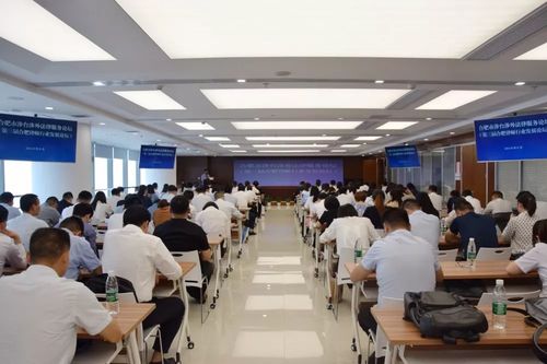 合肥市律师协会，法律服务的先锋与桥梁