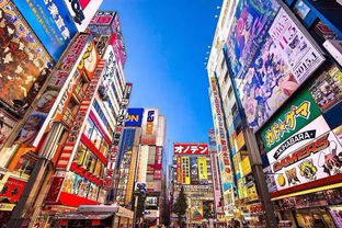 探索企业的世界，从街角小店到跨国巨头