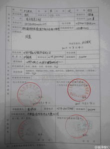 劳务派遣合同范本，保障双方权益的桥梁