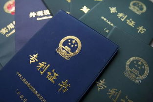 专利申请人变更费用，全面解析与实用指南