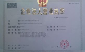 个体工商户执照，开启你的创业之旅