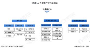 深度解析，退票手续费背后的经济逻辑与合理性探讨