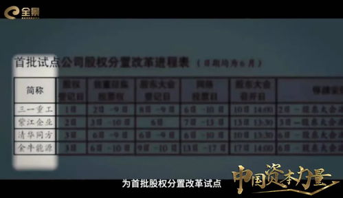股权分置改革，中国资本市场的里程碑