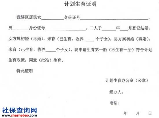 掌握开证明格式，一份详细指南