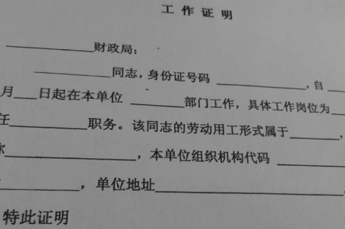 掌握开证明格式，一份详细指南