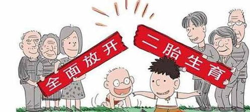 拥抱变化，全面解析中国生育二胎政策及其深远影响