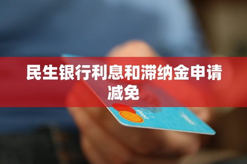 民生银行信用卡贷款，便捷金融生活的新选择