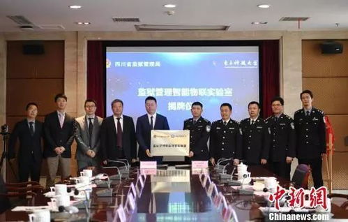 智慧监狱，未来监狱管理的革新与中标公告解读