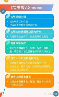 深入了解劳动局招聘，机会、流程与建议
