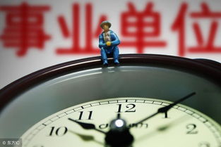 事业单位绩效工资制度，激励与公平的平衡艺术