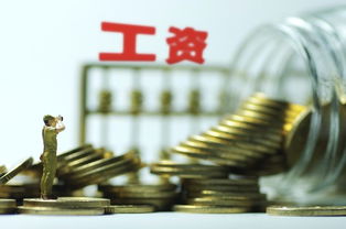 事业单位绩效工资制度，激励与公平的平衡艺术