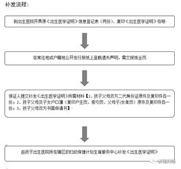 出生证明补办指南，步骤、要求与常见问题解答