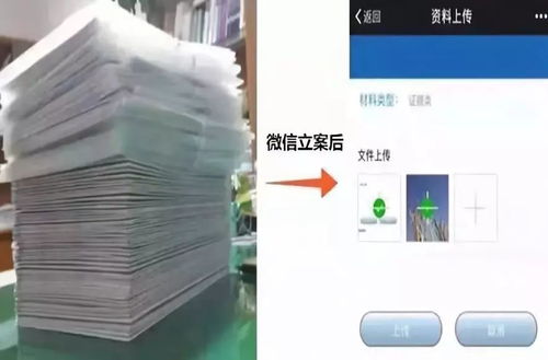 打造企业成长的法律盾牌，产业园法律服务方案范文解析