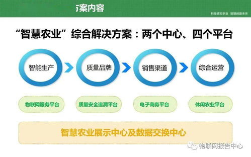 深入解析计划生育手术证明，重要性、办理流程与常见问题解答