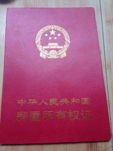 揭开结婚证真伪的神秘面纱，如何辨别和查询结婚证的真伪