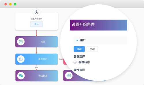 深度解析，如何高效进行被执行人查询及应对策略