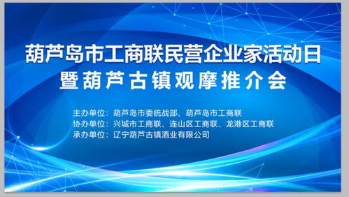 民营企业的特点，活力、创新与挑战