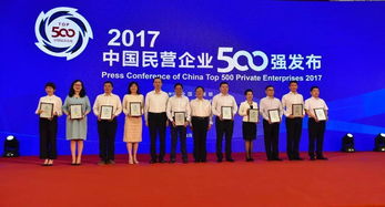 民营企业的特点，活力、创新与挑战