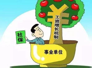公务员绩效工资，激励与公平的平衡艺术