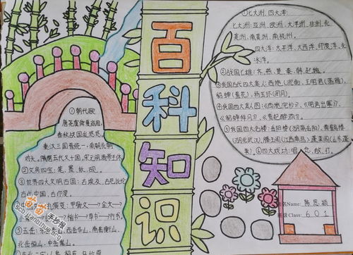 绘制法律知识手抄报，创意与教育的完美融合