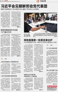 上海生育保险新规，全面解读与实用指南