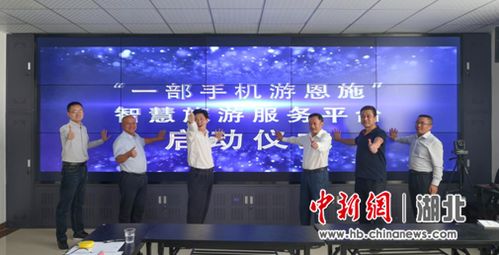 探索法治智慧平台官网，开启法律服务新纪元