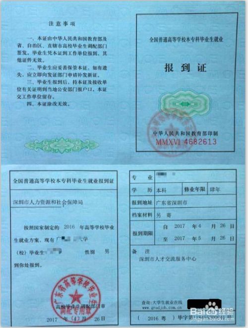 应届毕业生报到证，开启职场新篇章的关键