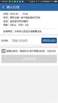 南阳交通违章查询，便捷、高效、透明的查询指南