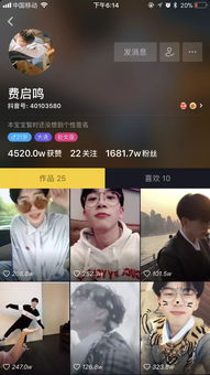 抖音宝芽风波，网络红人背后的争议与反思